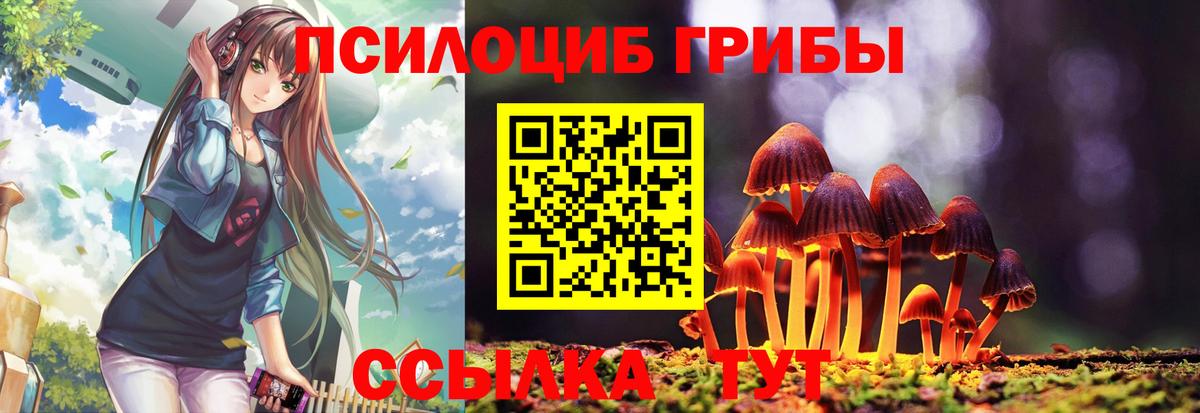 Псилоцибиновые грибы Psilocybe  Вход с VPN  Туймазы  Псилоцибиновые грибы Magic Shrooms 